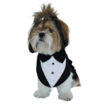 Classic Black & White Tuxedo ZL TX 02