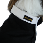 Classic Black & White Tuxedo ZL TX 02 - Image 3