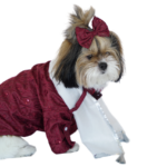 Maroon & Silver Sherwani With Duppata ZL SW 02 - Image 2