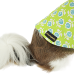 Lime Green Shirt With Cap ZL ST 02 - Image 2