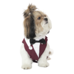 Burgundy Tuxedo With Black Bow Tie AD TX 02