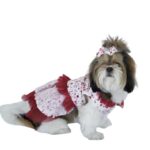 Red Polka Dots Tutu Frock ZL TF 03