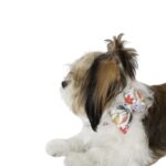 Evergreen Jingle Bow Collar - Image 2