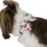 Happy Blooms Bow Collar