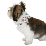 Happy Blooms Bow Collar - Image 2