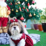 Red Checks Frock - Image 4