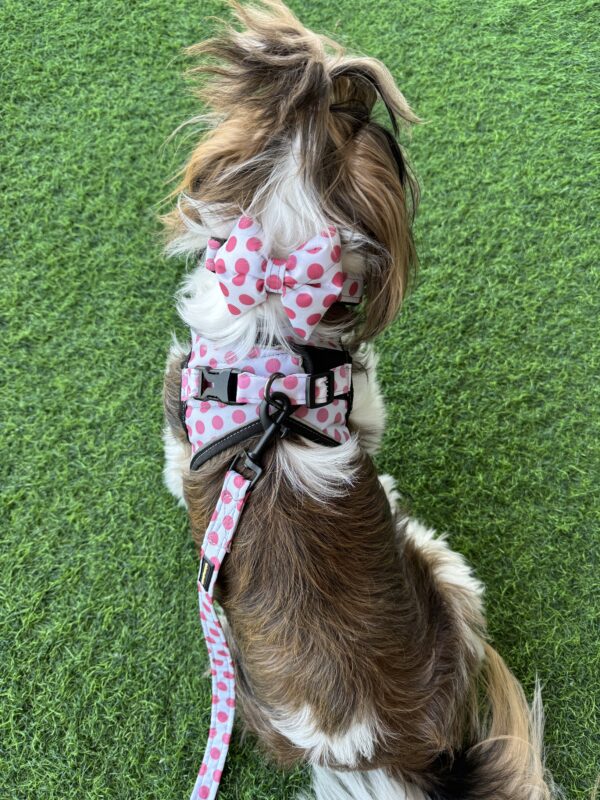 Pink Polka Dots Harness Combo - Image 7