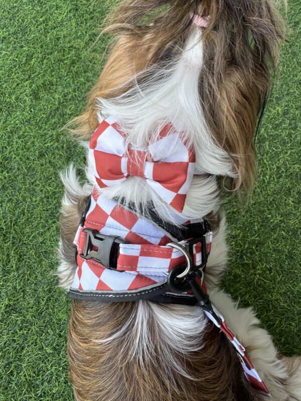 Red Check Harness Combo - Image 6