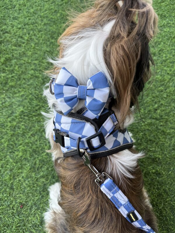 Blue Checks Harness Combo - Image 7