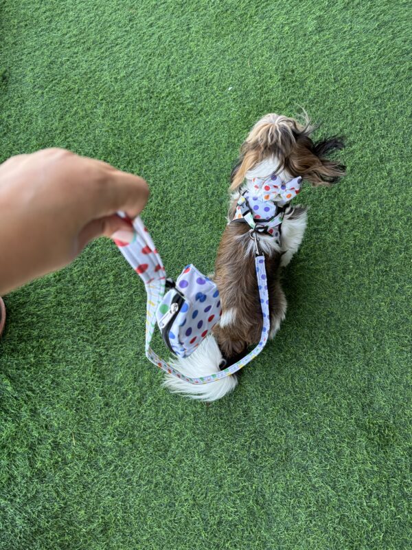 Rainbow Polka Dots Harness Combo - Image 5