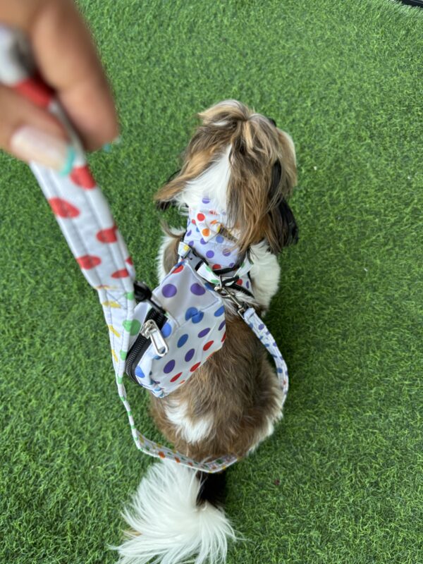 Rainbow Polka Dots Harness Combo - Image 6