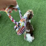 Rainbow Stripes Harness Combo - Image 5