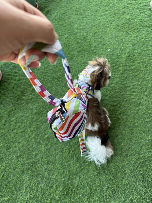 Rainbow Stripes Harness Combo - Image 5