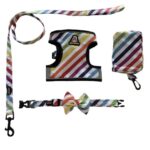 Rainbow Stripes Harness Combo