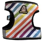 Rainbow Stripes Harness Combo - Image 2