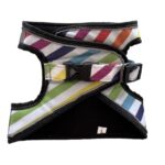 Rainbow Stripes Harness Combo - Image 3
