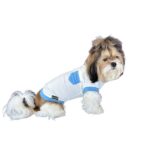 White & Blue Lycra Tshirt
