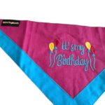 Pink & Blue Embroidered Birthday Bandana - Image 2