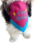 Pink & Blue Embroidered Birthday Bandana - Image 4