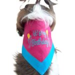 Pink & Blue Embroidered Birthday Bandana