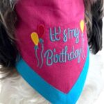Pink & Blue Embroidered Birthday Bandana - Image 6