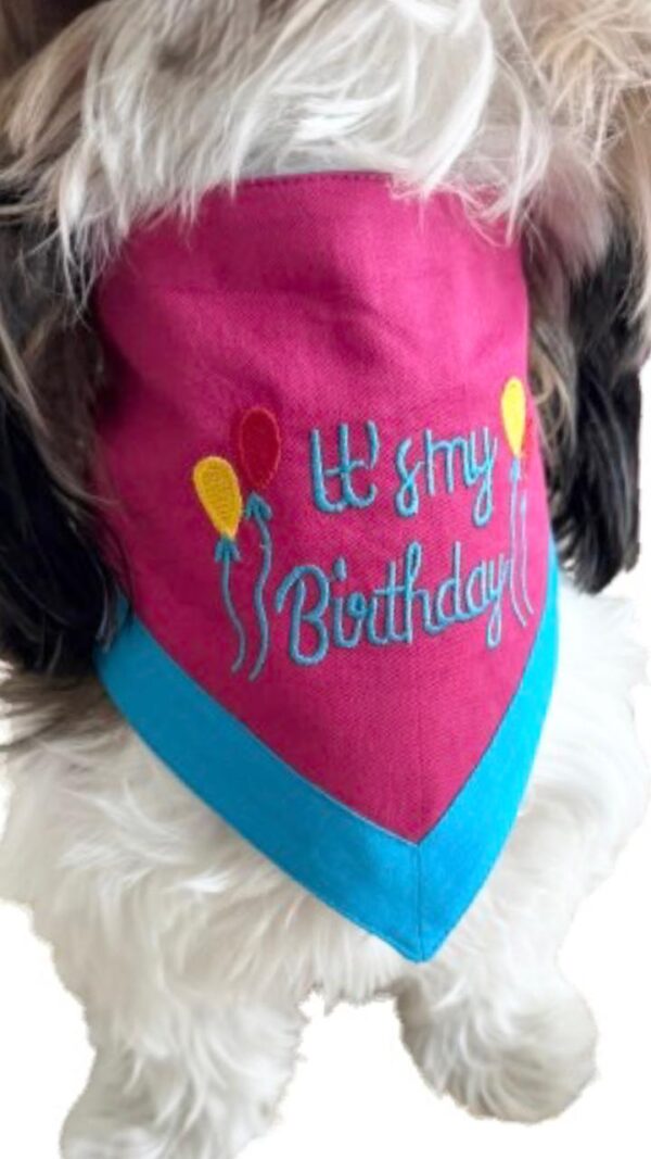 Pink & Blue Embroidered Birthday Bandana - Image 6