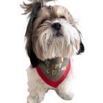 Grey & Red Embroidered Birthday Bandana - Image 3