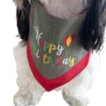Grey & Red Embroidered Birthday Bandana - Image 4