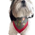Grey & Red Embroidered Birthday Bandana - Image 5