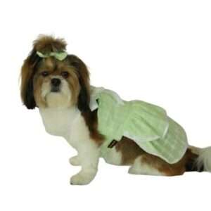 Green Daisy Frock
