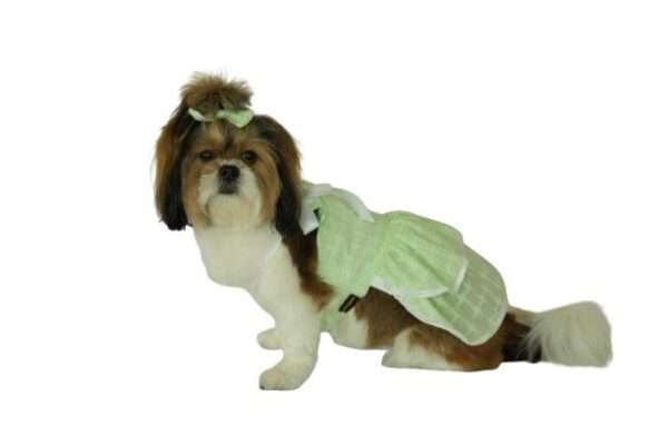 Green Daisy Frock - Image 5